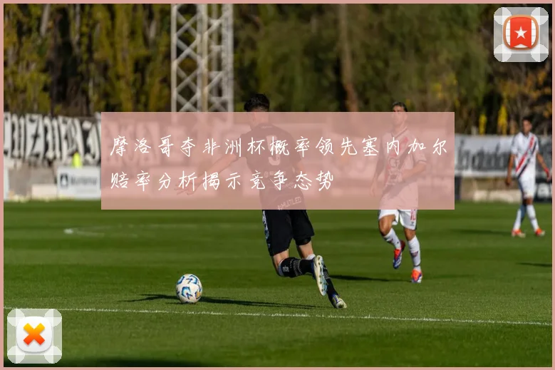 摩洛哥夺非洲杯概率领先塞内加尔赔率分析揭示竞争态势